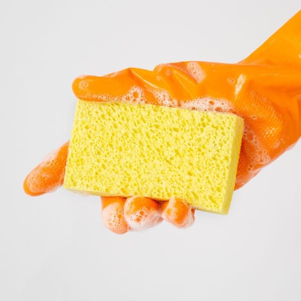 latex glove holding sponge